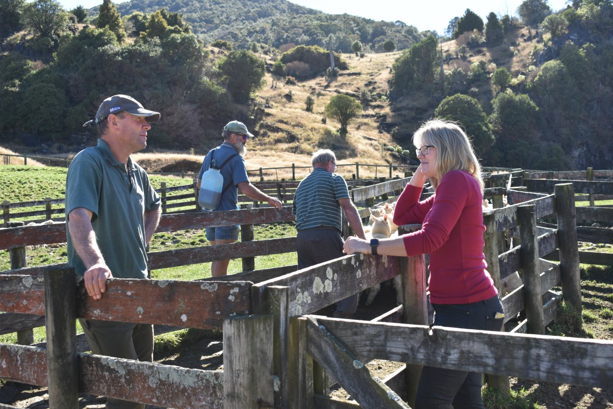 Rural Business Motueka Nelson Milnes Beatson