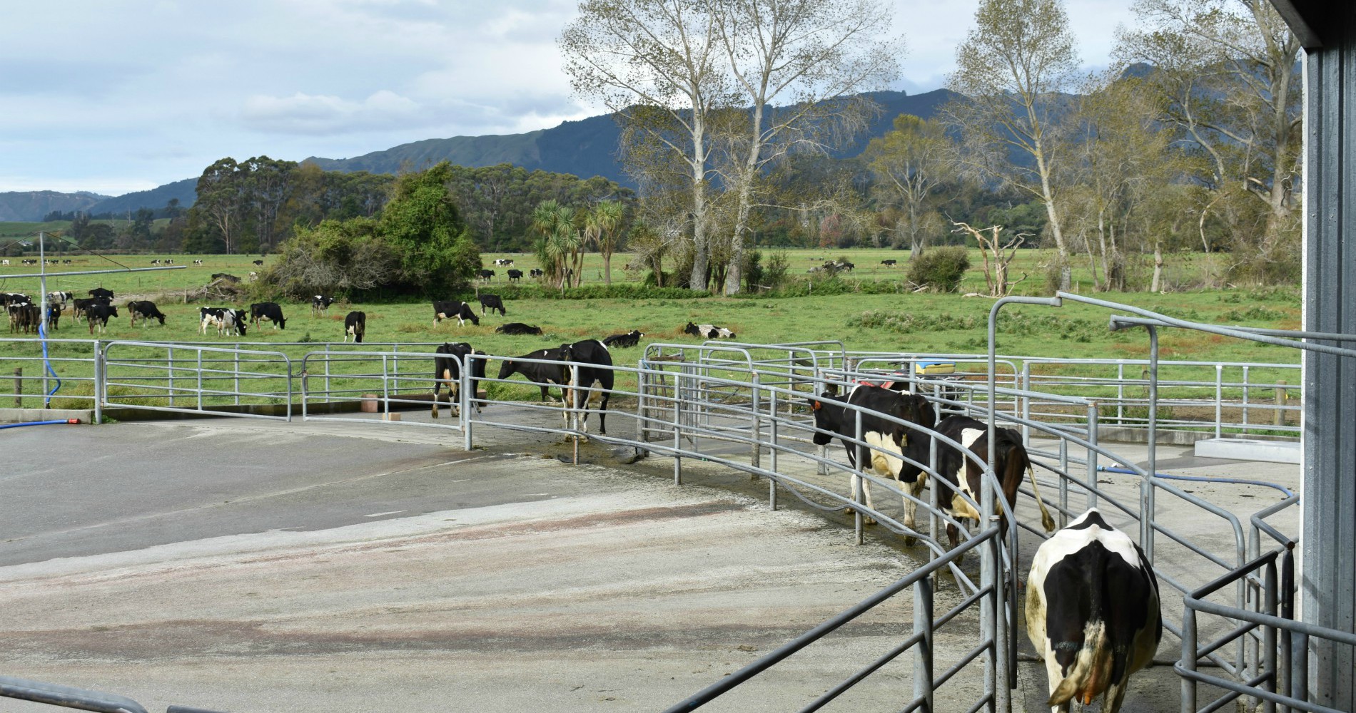 Accountants Motueka Milnes Beatson